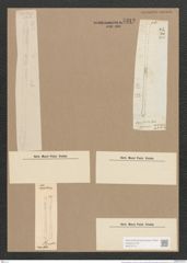 Synedra capitata Ehr. (de-Toni-Nr.: Genus 66, Species 2603) Zeichnungen Sammlung Grunow Nr. 5312 (NHMW-BOT-W0373710)